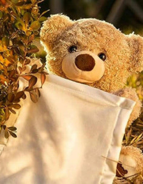 Peek A Boo Bear Animated with Voice Teddy