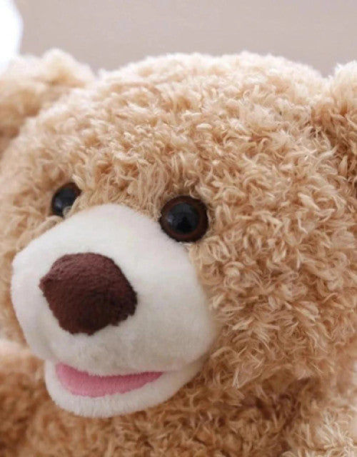 Peek A Boo Bear Animated with Voice Teddy